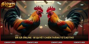 Đá Gà Online - Bí Quyết Chiến Thắng Từ Cao Thủ